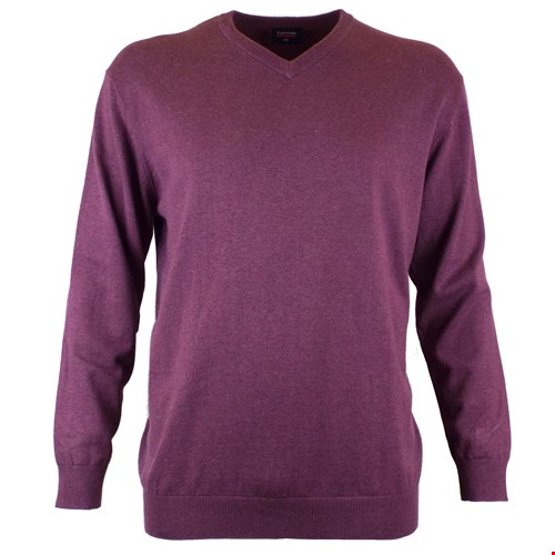 Espionage V Neck Pullover